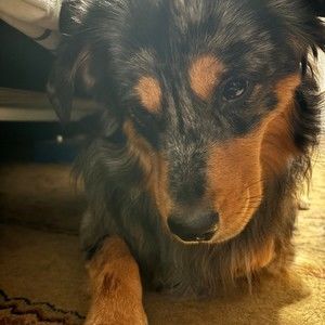 Meet your Posher, Scott